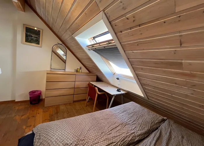 Knirkenheimen Han/Misafirhane Trondheim